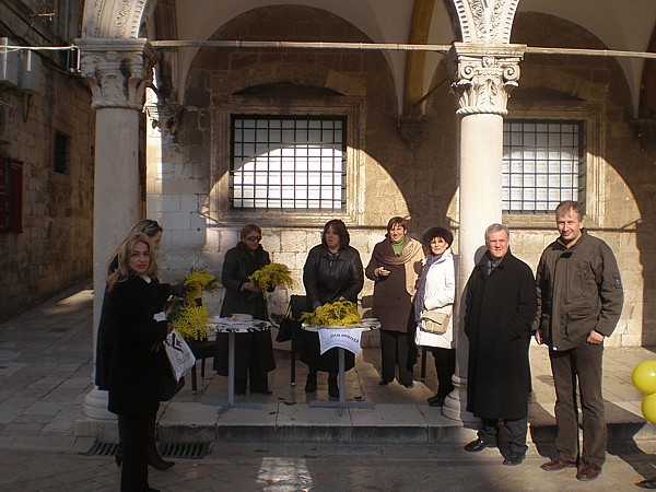 Mjesec siječanj - Međunarodni Dan mimoze Dubrovnik 2010