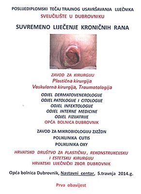 Stručni skupovi 2014