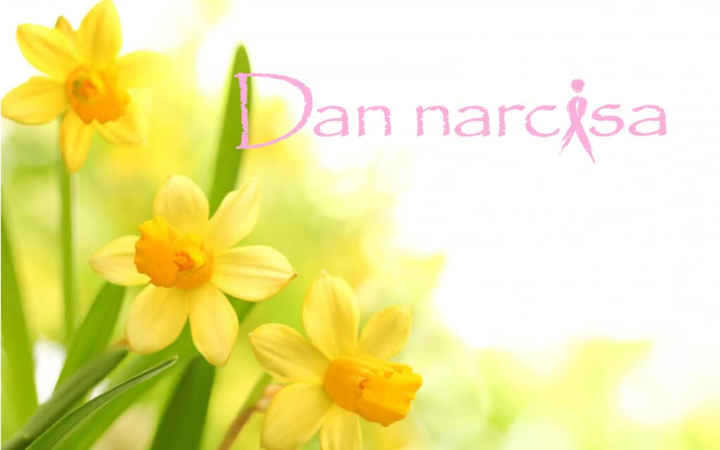 Dan narcisa 2019 u Dubrovniku