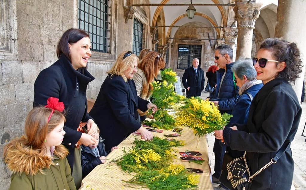 Dan Mimoze na Stradunu 2023