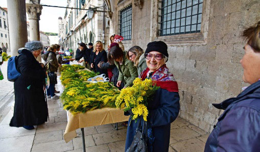 12. Dan mimoza Liga protiv raka Dubrovnik 18