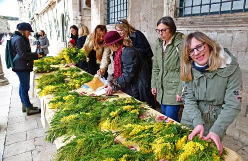 12. Dan mimoza Liga protiv raka Dubrovnik 19