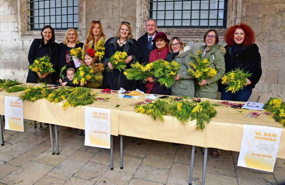 12. Dan mimoza Liga protiv raka Dubrovnik 2