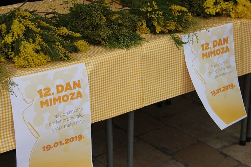 12. Dan mimoza Liga protiv raka Dubrovnik 3