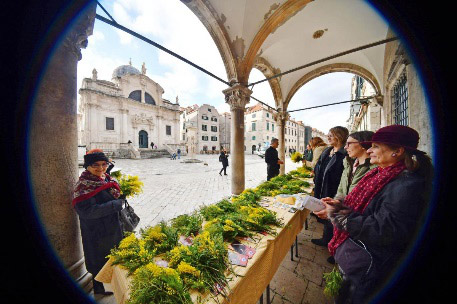 12. Dan mimoza Liga protiv raka Dubrovnik 4