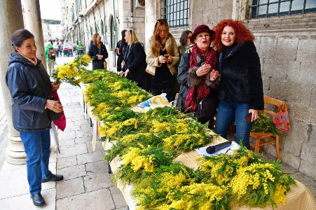 12. Dan mimoza Liga protiv raka Dubrovnik 7