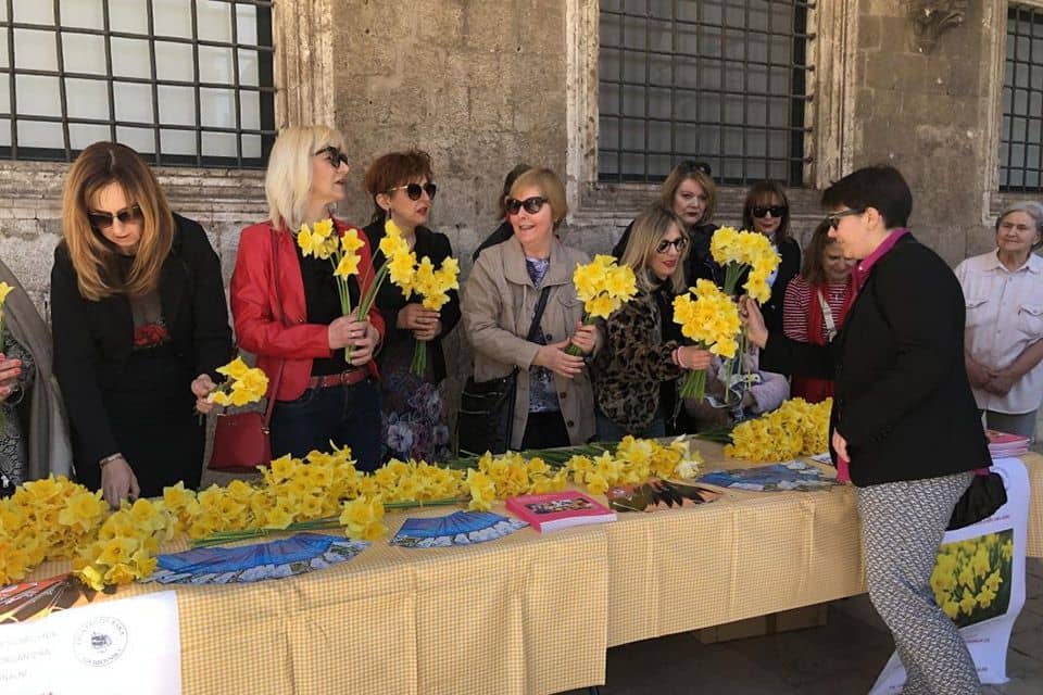 Dan Narcisa Dubrovnik 2019 18